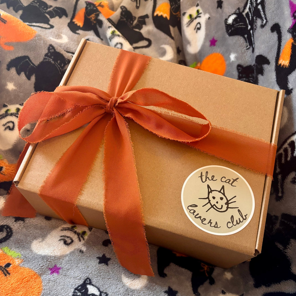 the spooky box | limited edition (for human + cat)