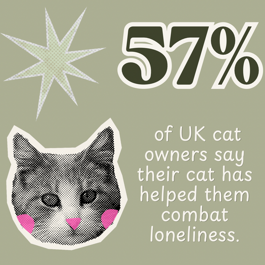 Can cats help with loneliness?