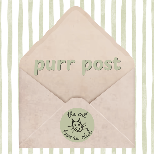 purr post | letterbox gift for cat lovers